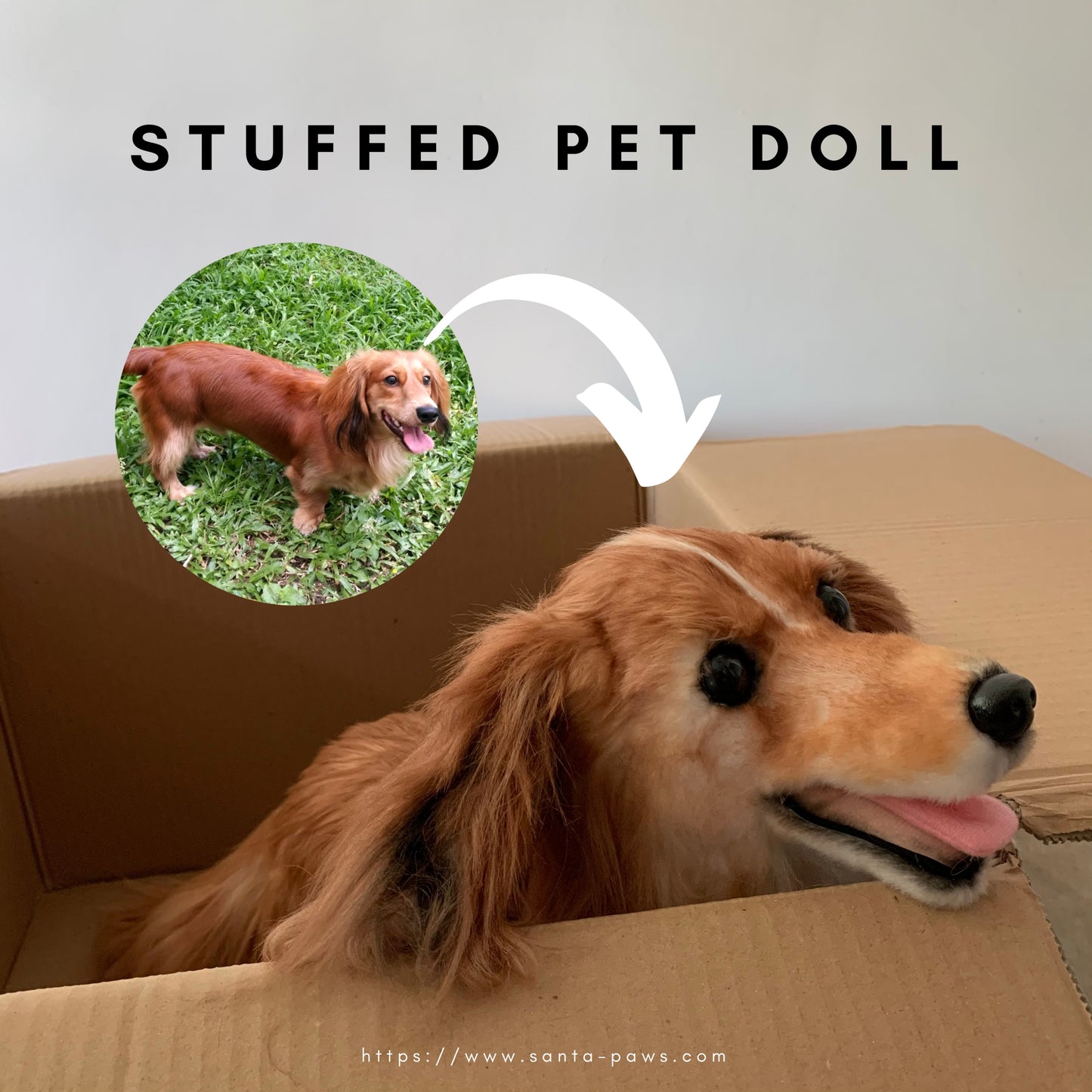 Stuffed Pet