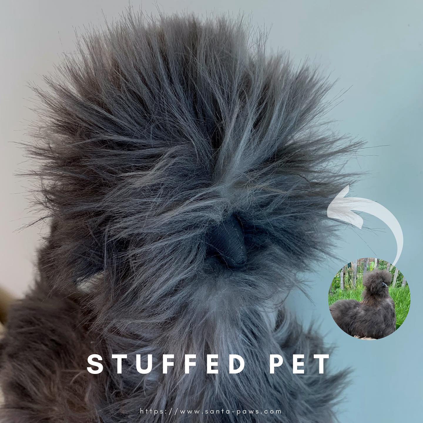 Stuffed Pet