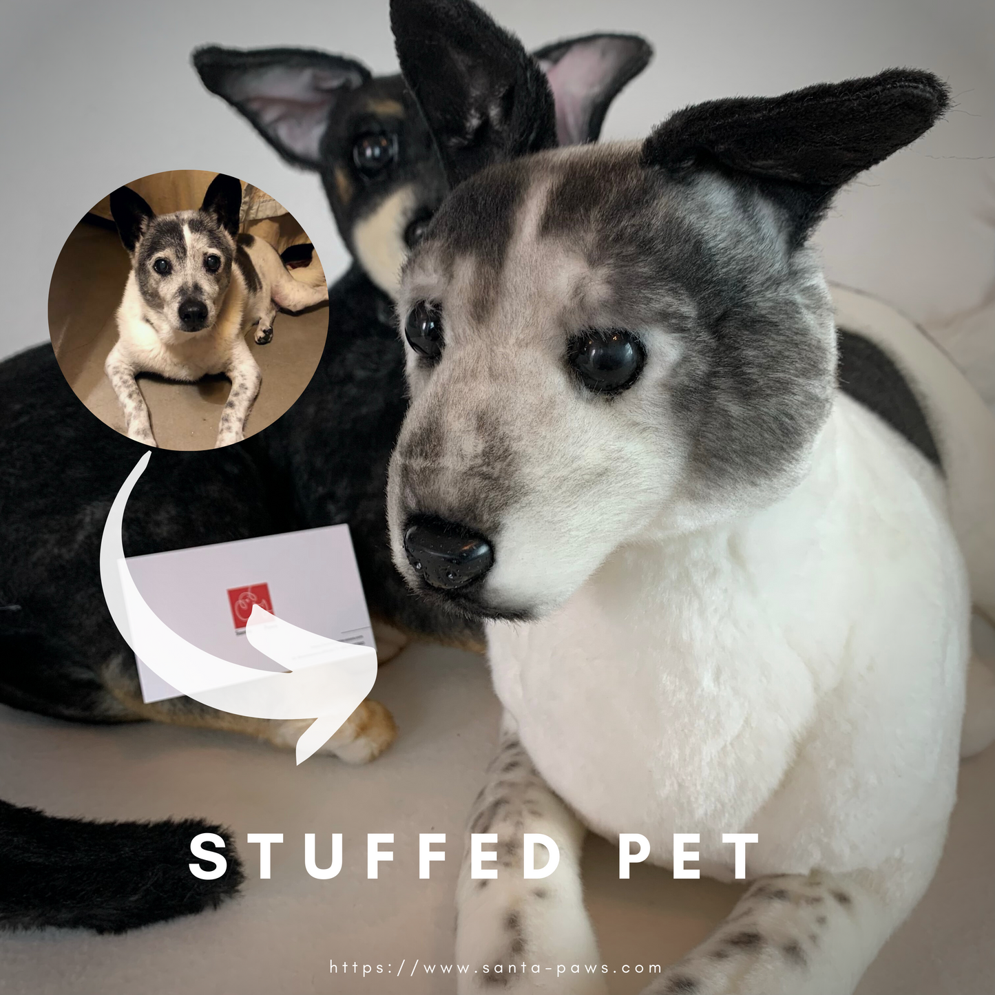 Stuffed Pet