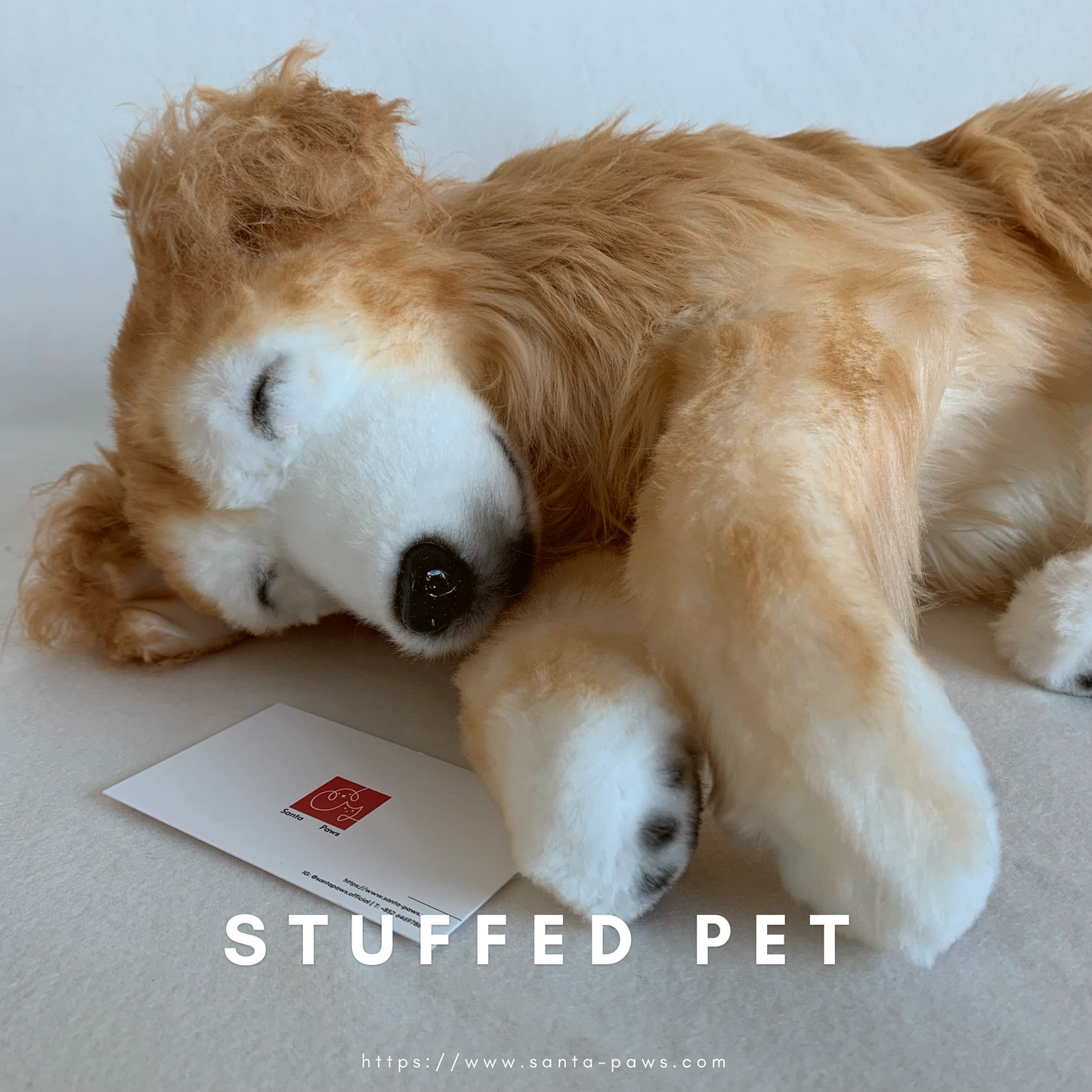 Stuffed Pet