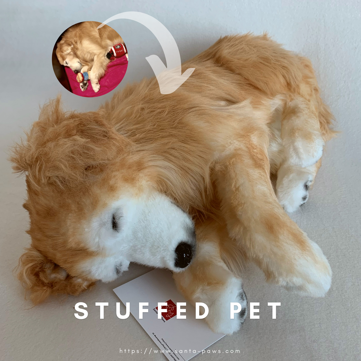 Stuffed Pet