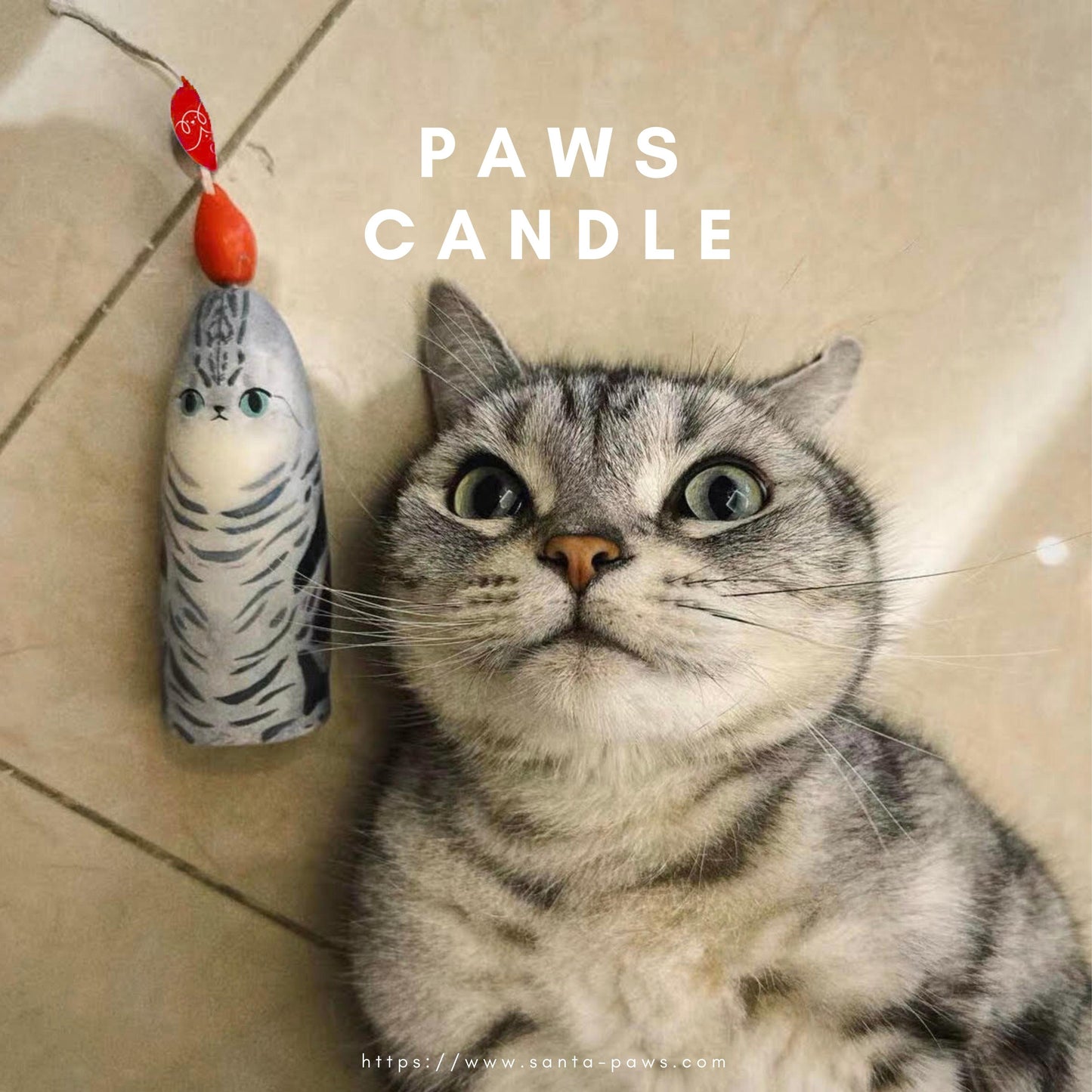 Scented Paws Candle