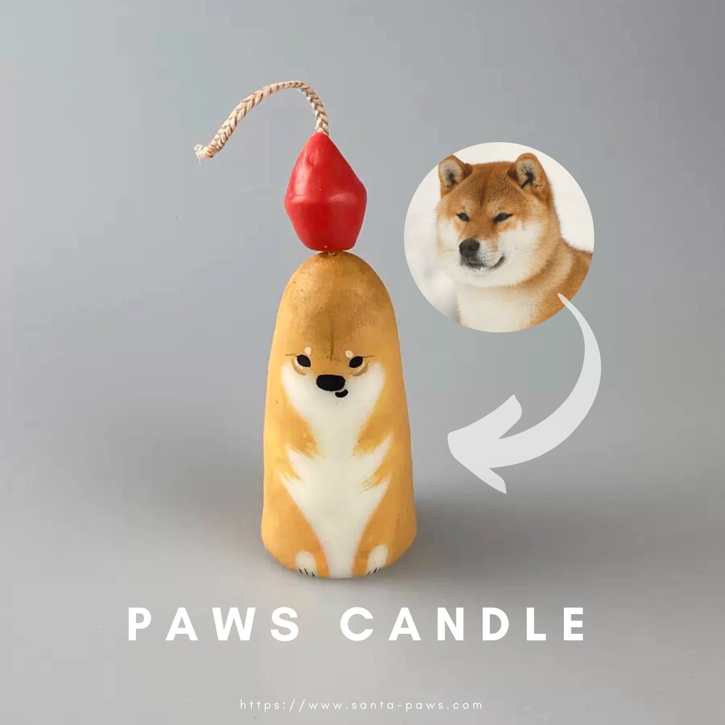 Scented Paws Candle