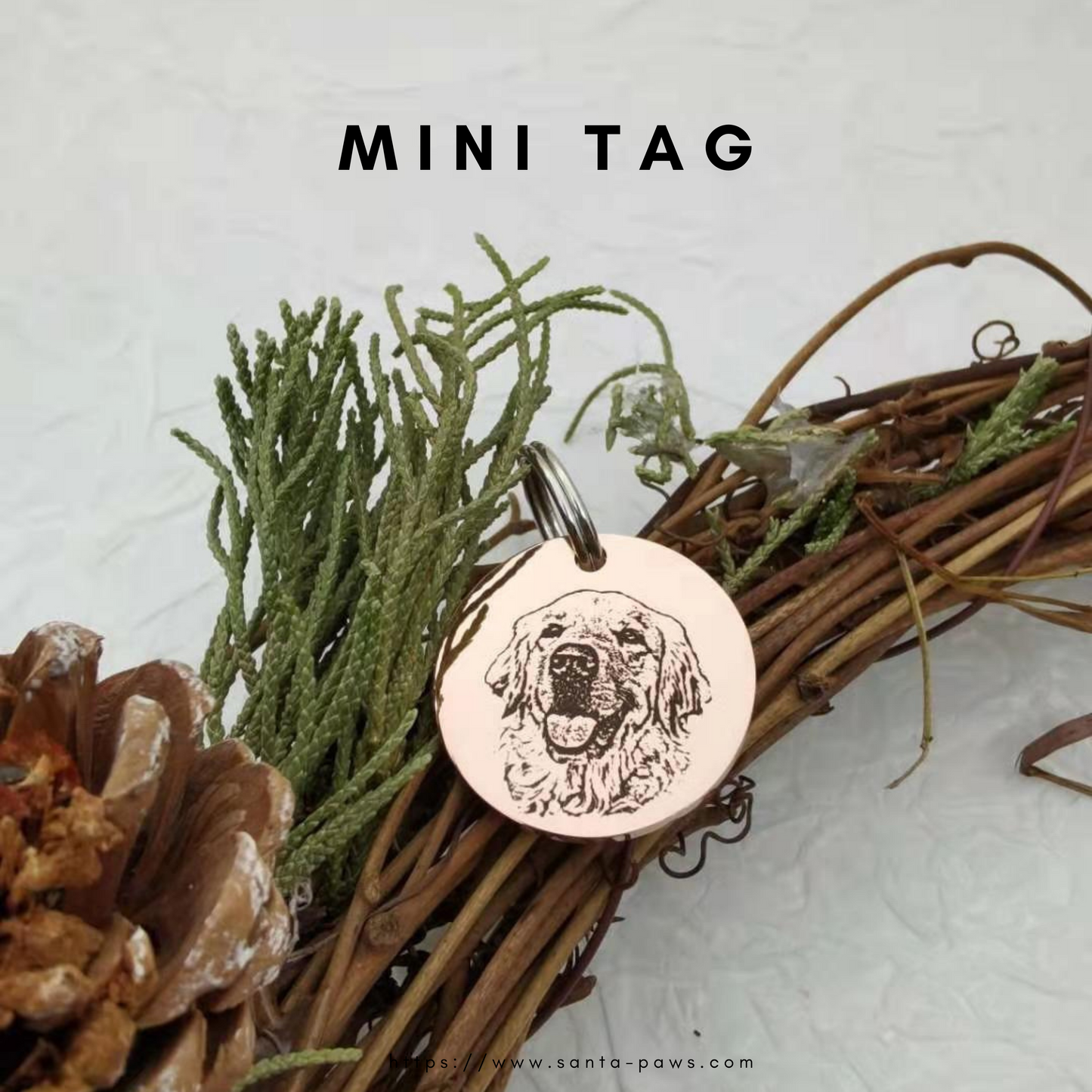 Mini Tag
