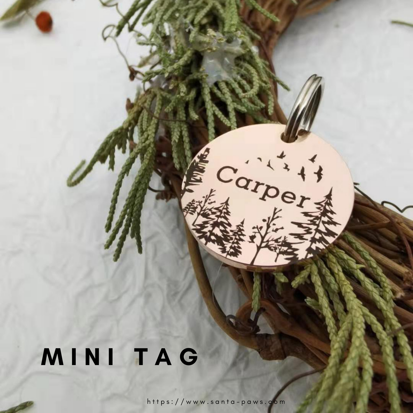 Mini Tag