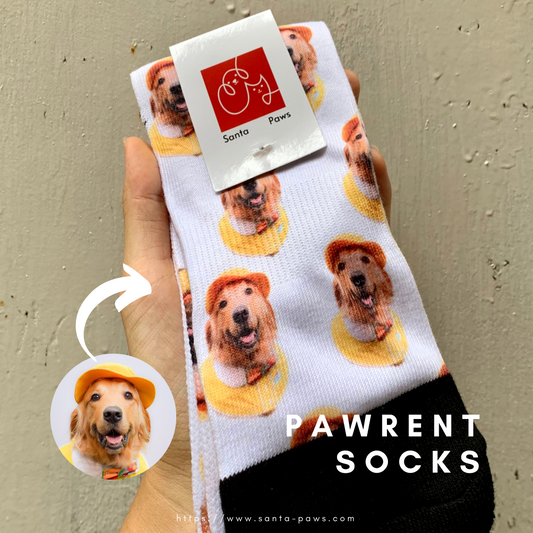 Pawrent Socks