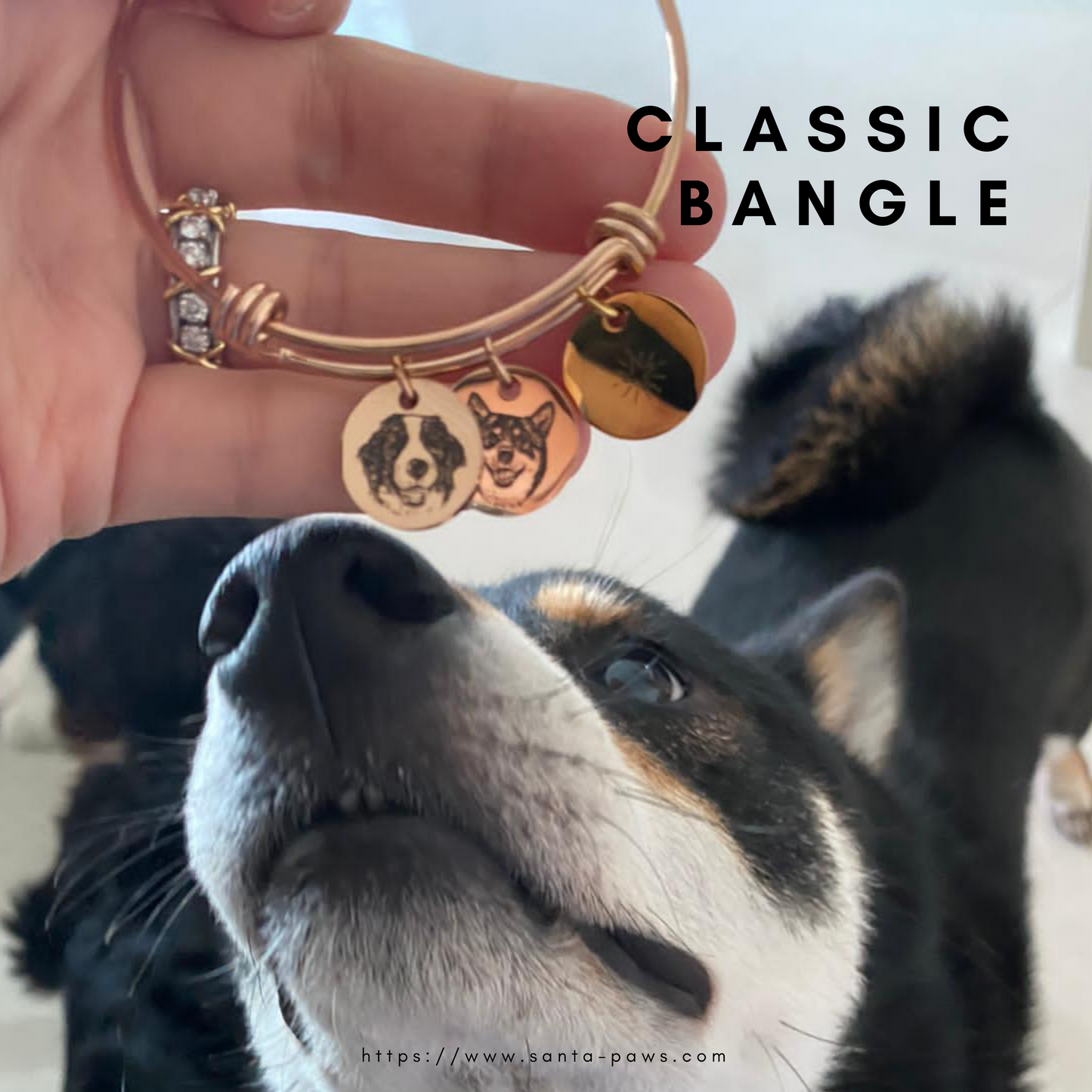 Classic Bangle