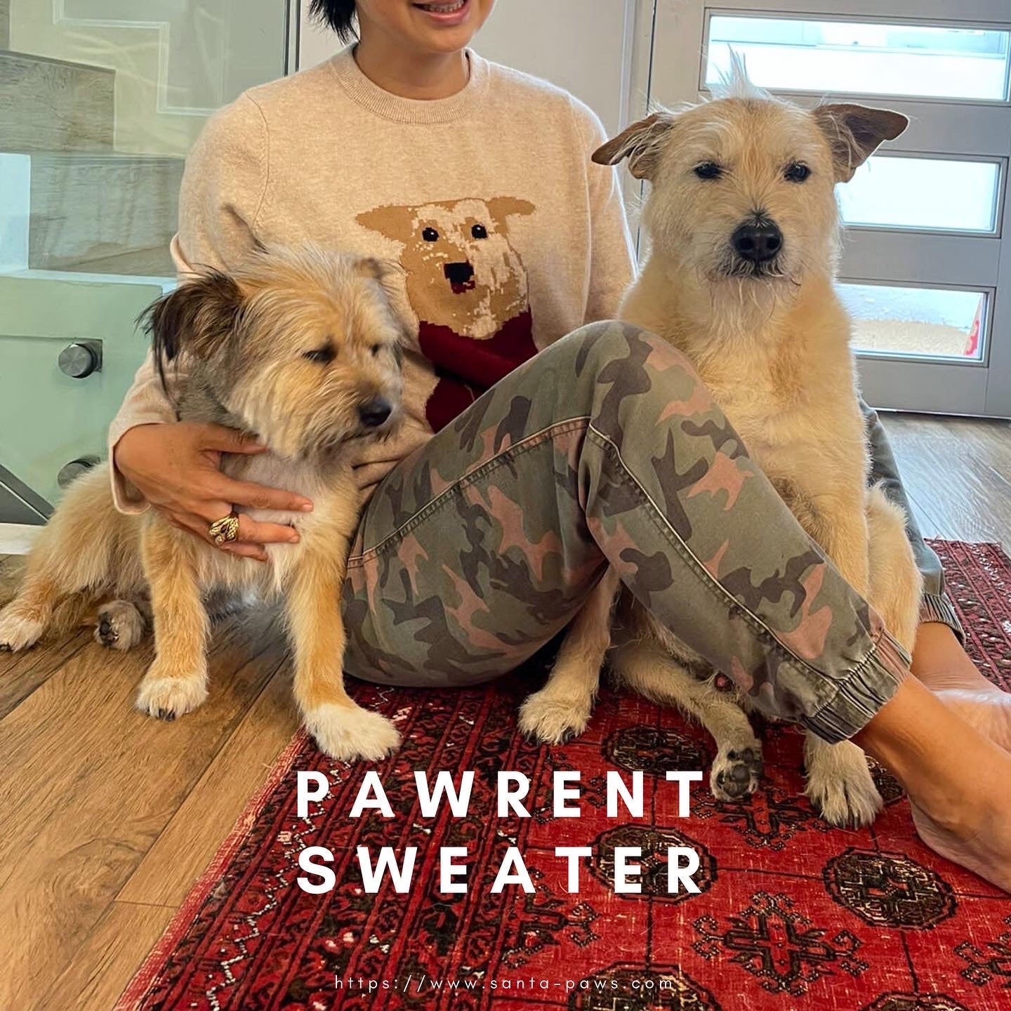 Pawrent Sweater | Knitty Gritty