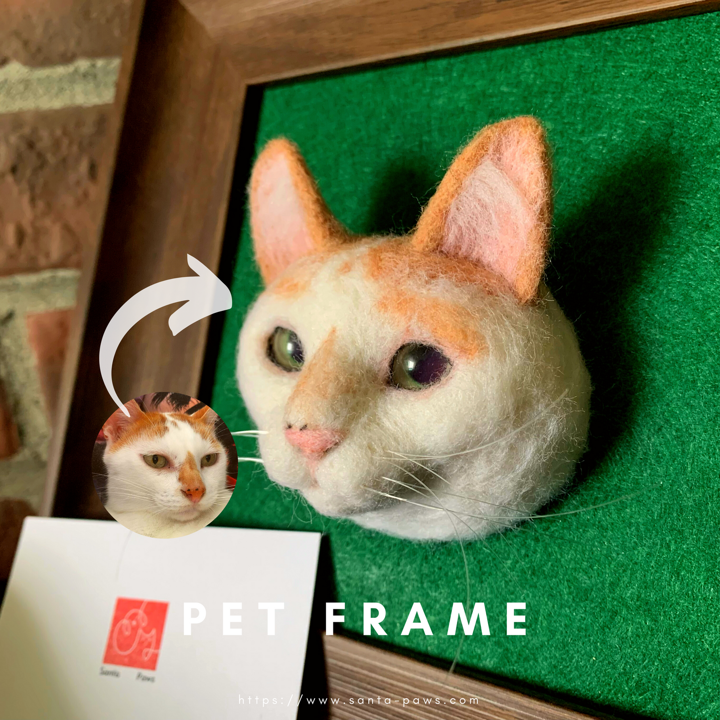 3D Pet Frame