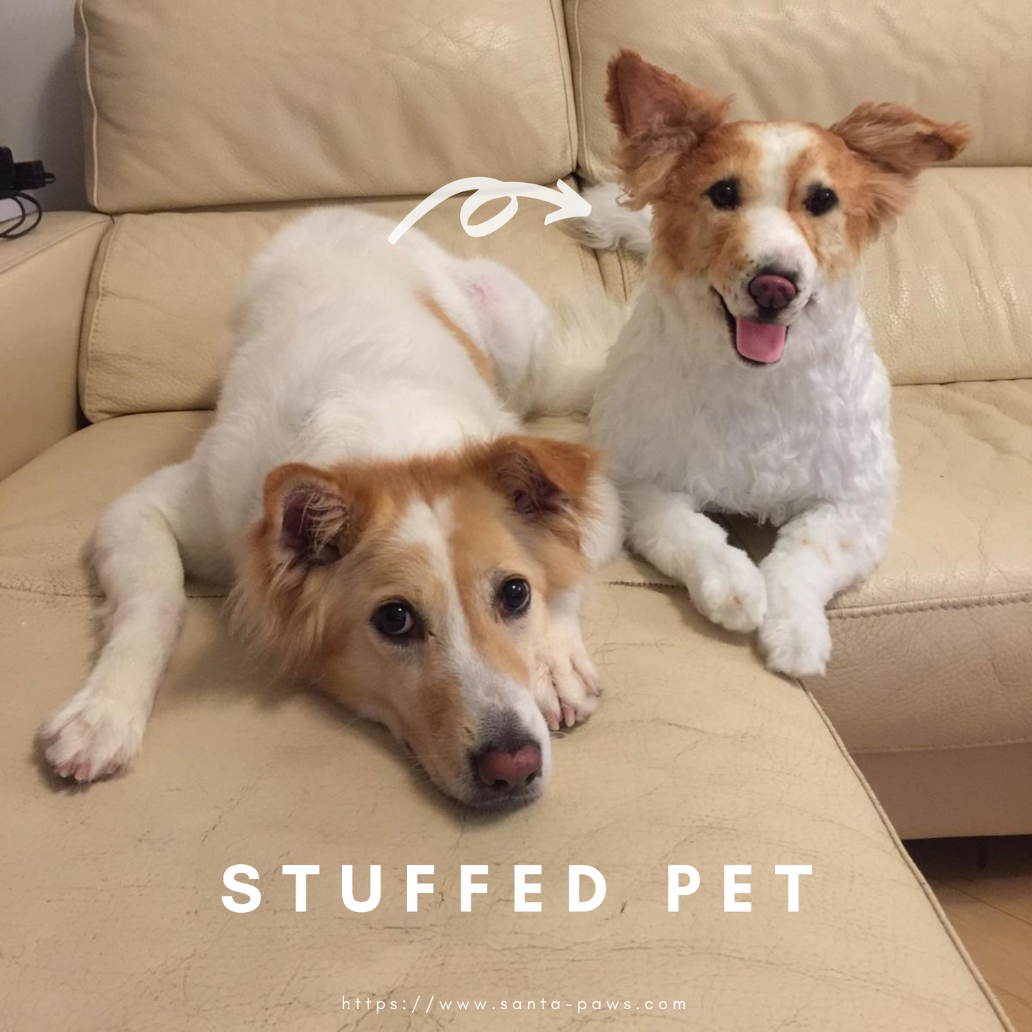 Stuffed Pet