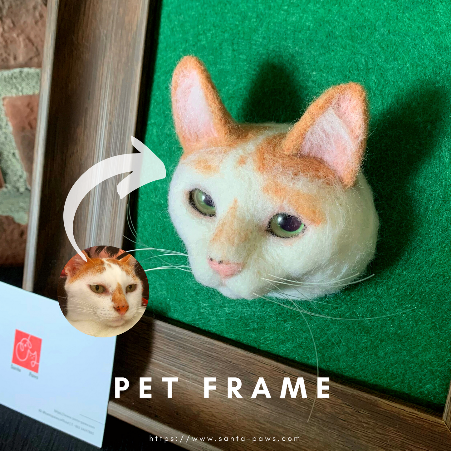 3D Pet Frame