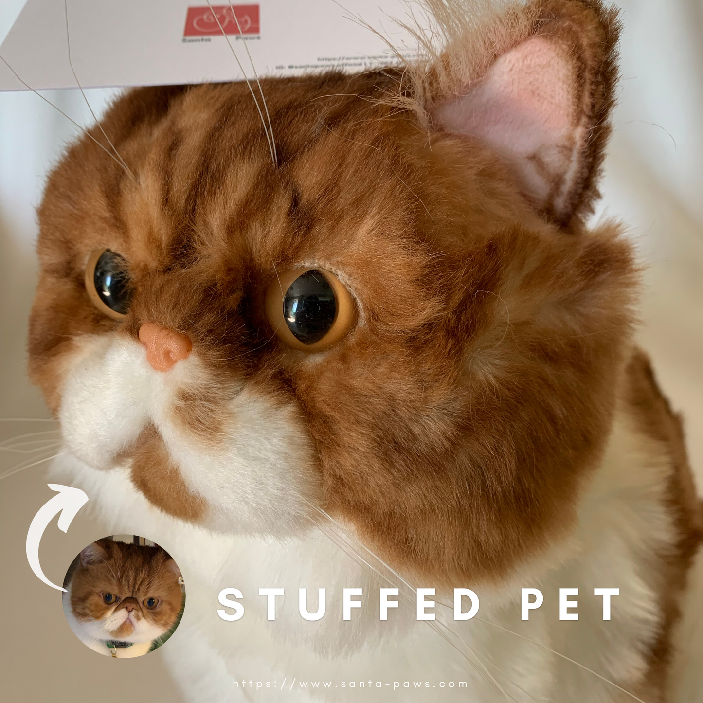 Stuffed Pet
