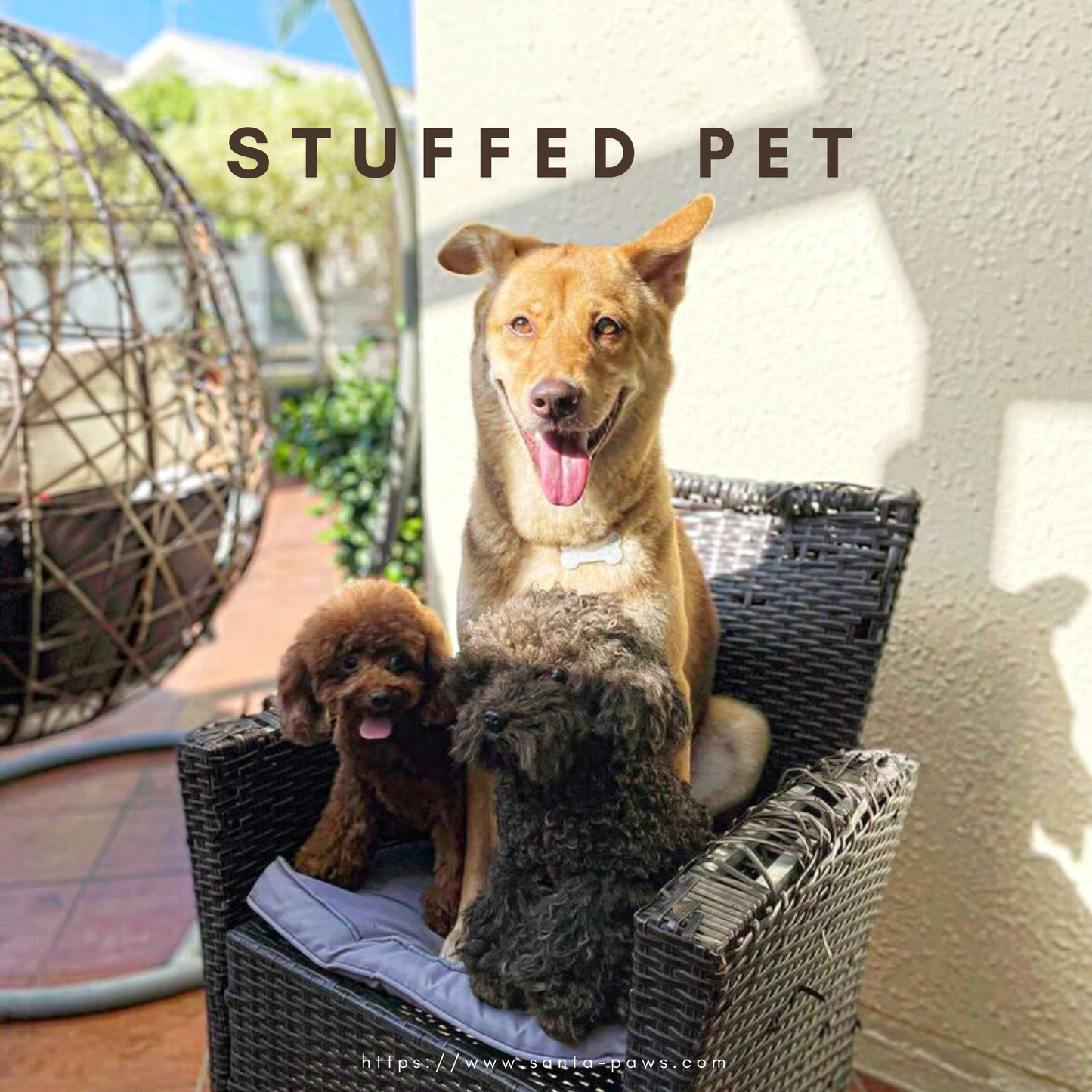 Stuffed Pet