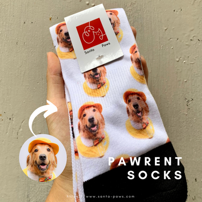 Pawrent Socks
